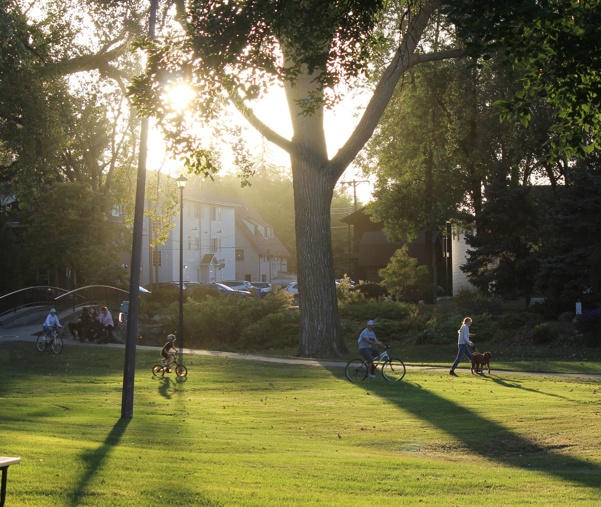 A Grand Forks park scene supported by the Foundation