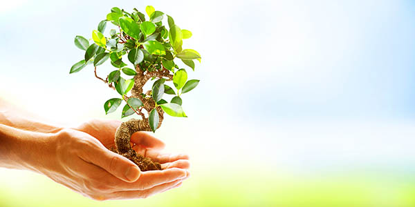 livingtreecampaign_slideimg_1